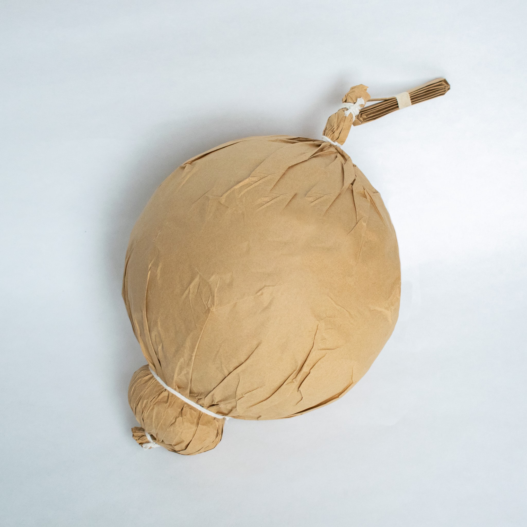 10" Shell No Name NEW - Dummy