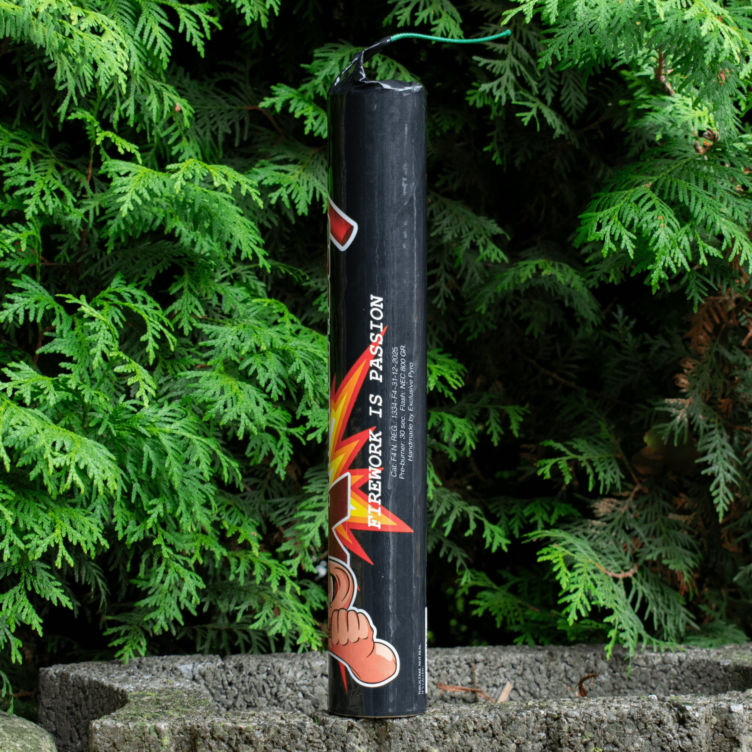 Xtremerides1 'Firework is Passion' - Dummy