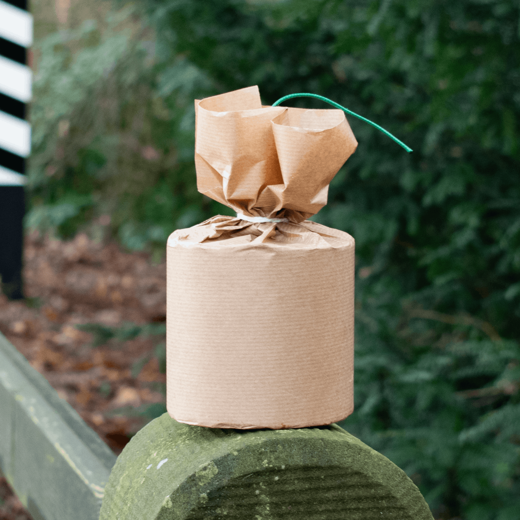 Cipolla 1K NEW - Dummy 